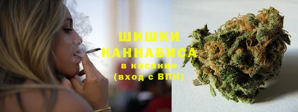 крисы Инсар