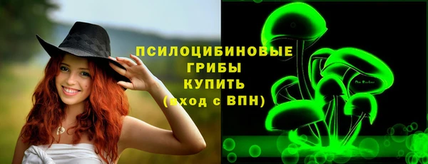 крисы Инсар