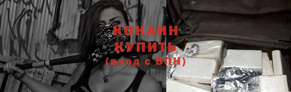 бошки Иннополис