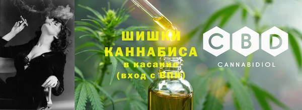 крисы Инсар