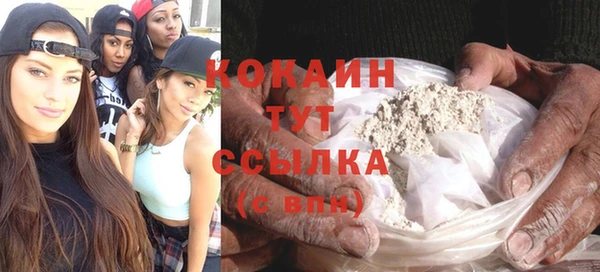 крисы Инсар