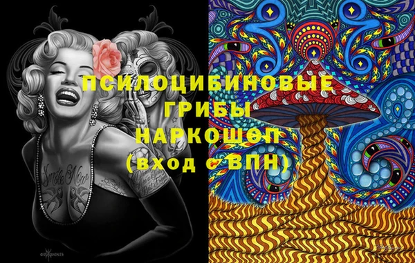 бошки Иннополис